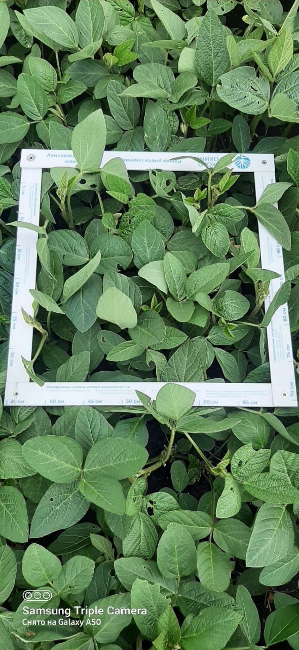 WhatsApp Image 2025-09-09 at 10.55.33 (1).jpeg WhatsApp Image 2025-09-09 at 10.55.33 (1).jpeg