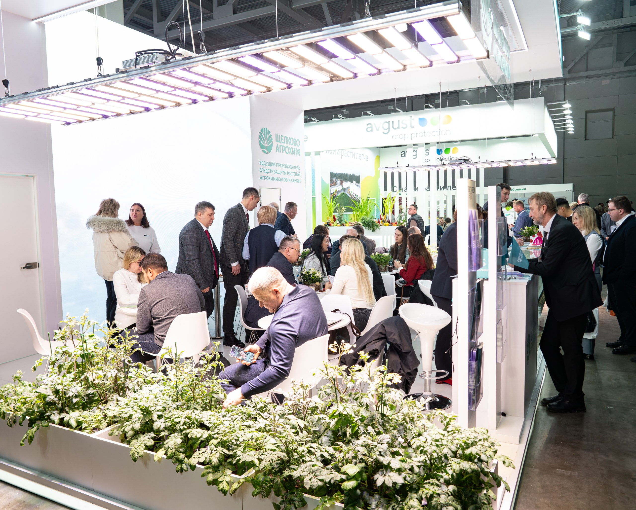 DSC01240_resized.jpg DSC01240_resized.jpg