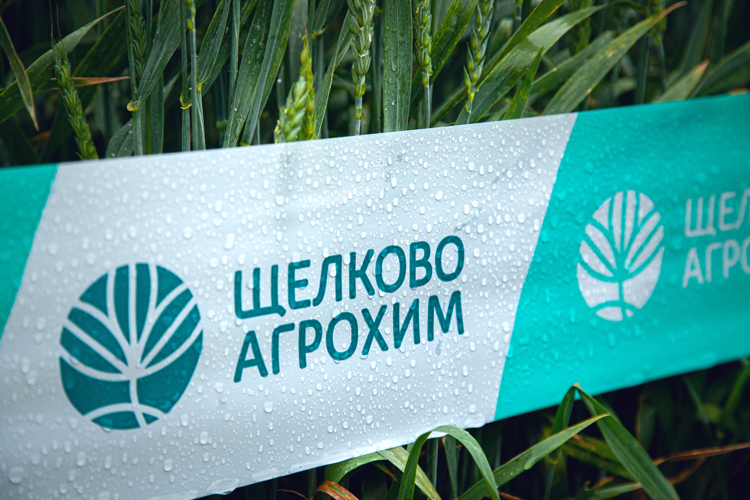 IMG_3878.jpg IMG_3878.jpg