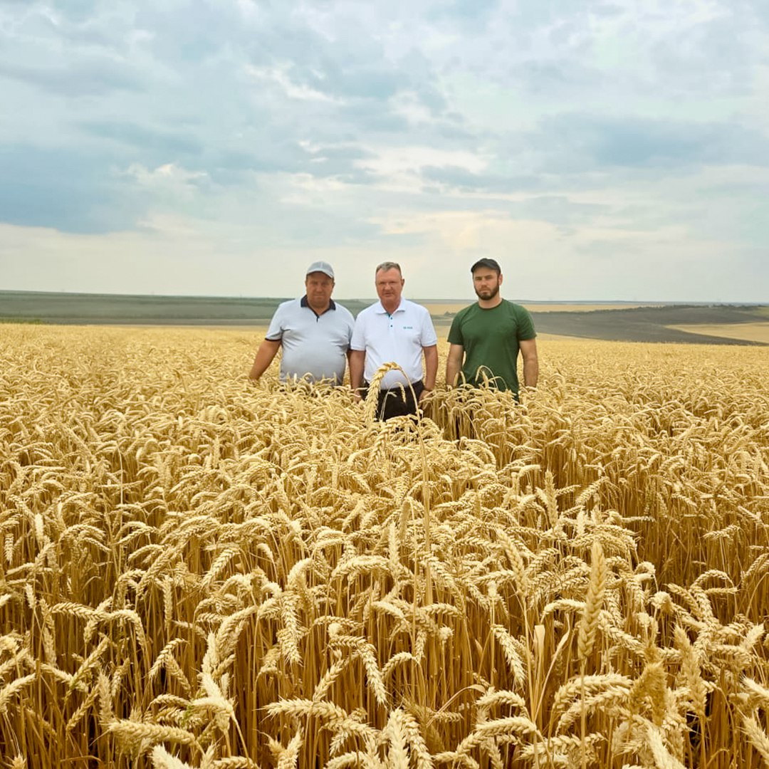 5203951469152303431.jpg 5203951469152303431.jpg