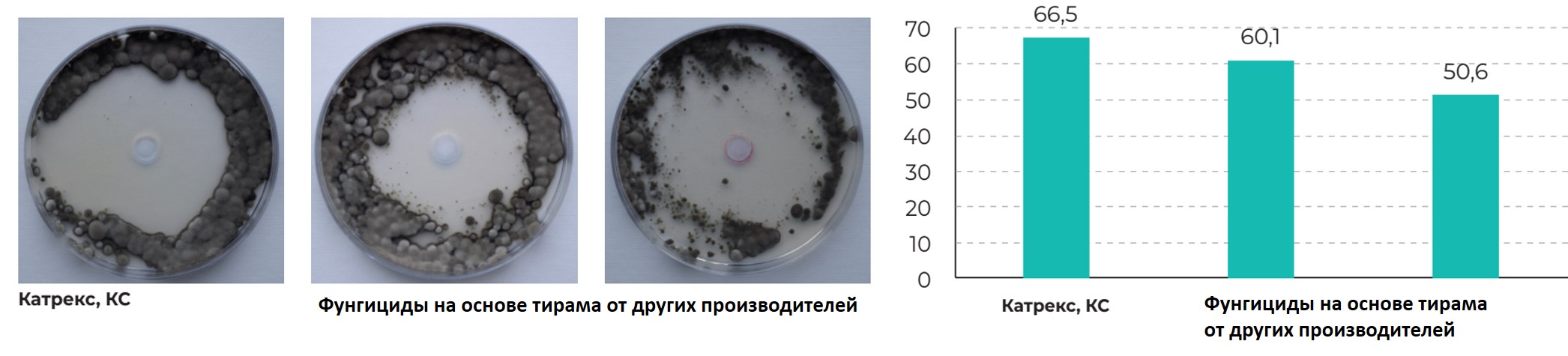 Катрекс груша.jpg