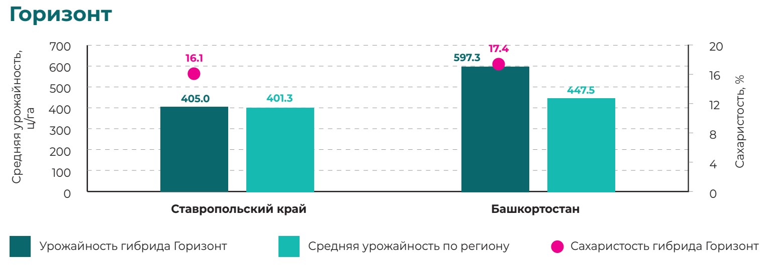 Горизонт 2024.jpg