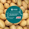 Брошюра «Программируем урожайность картофеля»