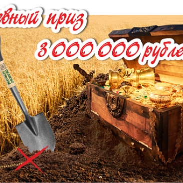 Поле сокровищ