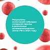  Брошюра «Результаты испытаний гибридов сахарной свеклы агроэкологических зонах РФ в 2024 году»