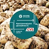 Брошюра «Программируем урожайность сахарной свеклы»