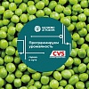 Брошюра «Программируем урожайность гороха и нута»