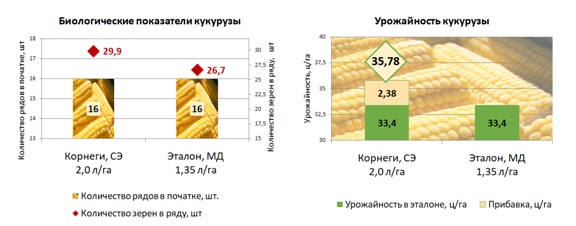 Какая урожайность кукурузы. Таблица посева кукурузы. Биологическая урожайность кукурузы. Сроки высева кукурузы. Сроки посева кукурузы.